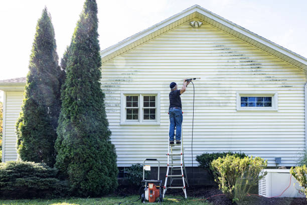 Best Concrete Surface Cleaning in Colfax, IL